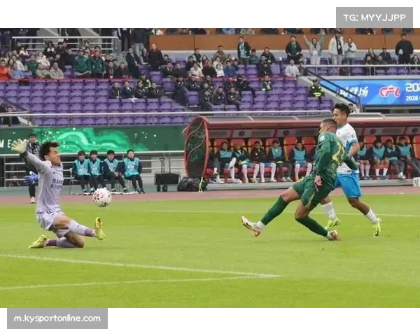 浙江队中场控制力明显提升 米特里策瓜里拉帕形成有效串联